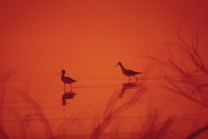 Искусство создавать связи